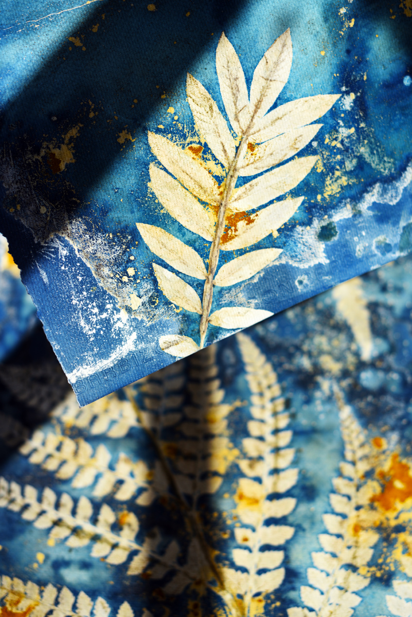 蓝晒湿式物影课程即将上线