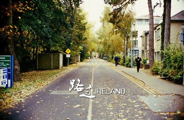 campus road