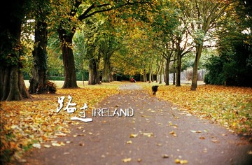 park