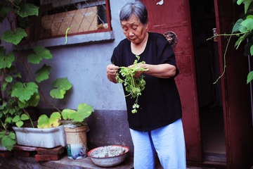 择菜的婆婆
