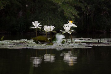 _MG_1568.jpg