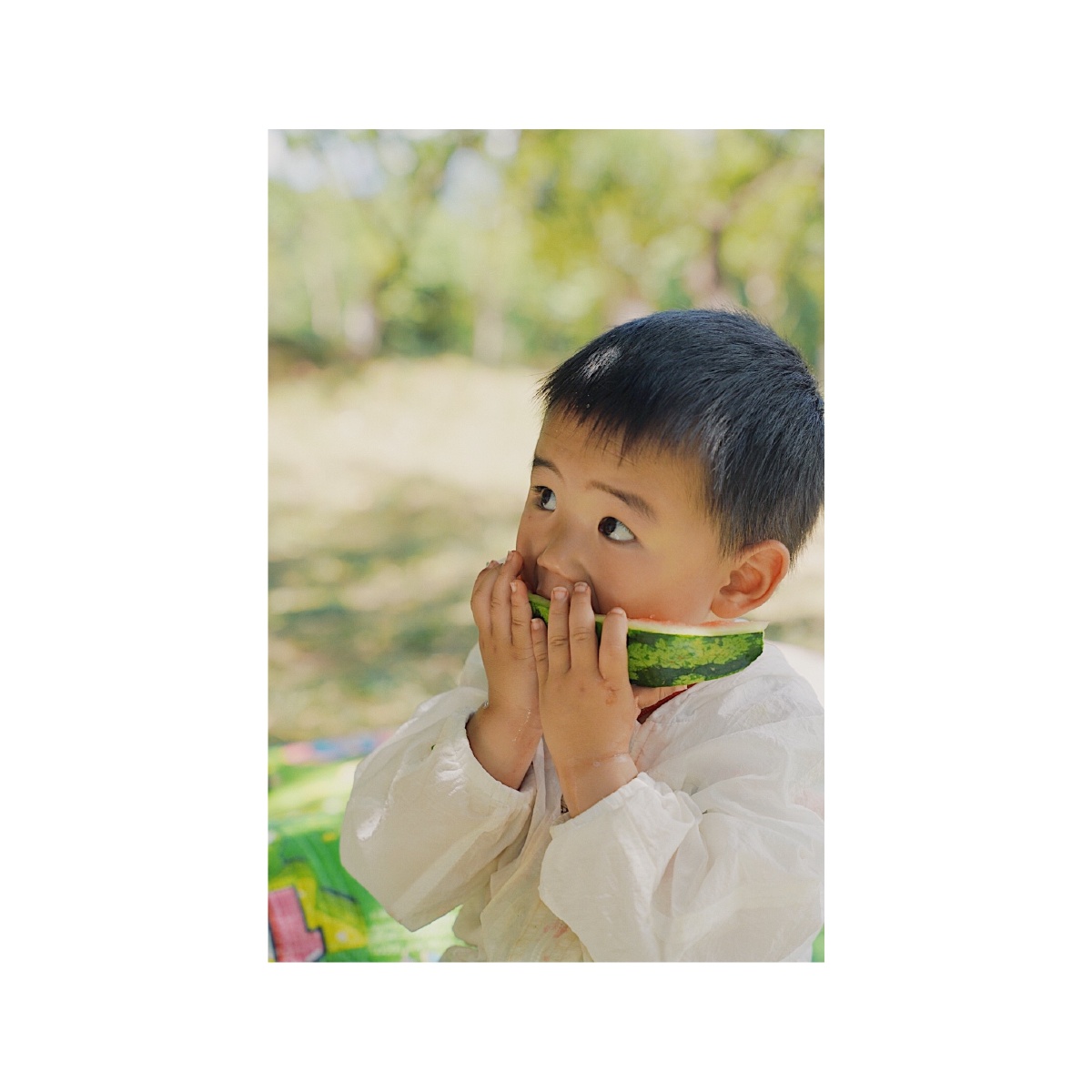 西瓜太郎夏天|西瓜|小朋友写真拍摄地:昆明呈贡捞鱼河湿地公园器材