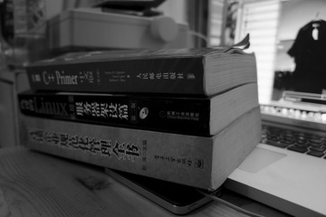 _DSC0543_RAW.JPG