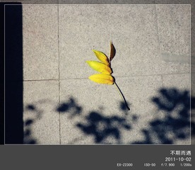 cimg0895_副本.jpg