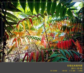 cimg0921_副本.jpg