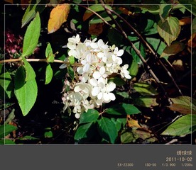 cimg0950_副本.jpg