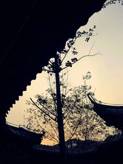 CIMG0173_副本.jpg