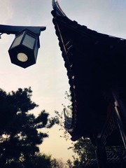CIMG0139_副本.jpg