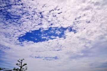 DCS_3472