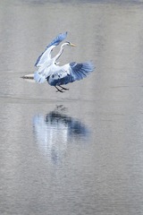 568958