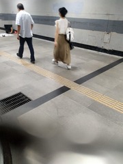 8736702