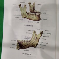 8574459