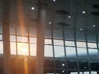 8761185