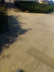 8723685
