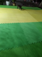 8597528