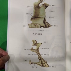 8574461