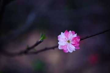 20130201-LAM_4461.jpg