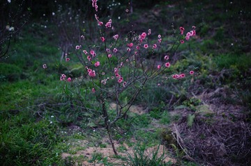 20130201-LAM_4525.jpg