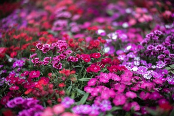 28514138-83DA-40C5-A8F2-0F174BF99C37/L0/001