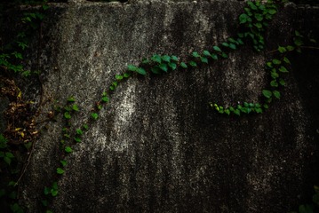 1DDC7272-160A-43A6-83A2-14FD232932E1/L0/001