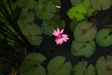 001