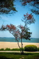 87692CB4-2AC9-4DD5-90F9-128FA7BB6078/L0/001