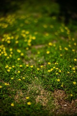 2F086A9F-CE9F-45A3-ABD7-996AA46EA285/L0/001