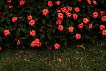 4DB8DF21-3B02-4C2E-9C91-CF8E58B30F29/L0/001