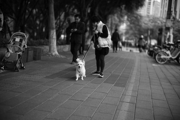 9300B41C-147B-4D02-BD80-3EC506CB7802/L0/001