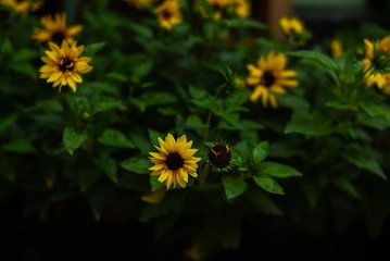 2A42CF18-270C-4F4D-B3F2-24A6C2980D5B/L0/001