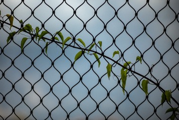 F882D7B9-3D5E-4E6A-9527-B6290DAC5D12/L0/001