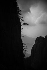CA153CBC-25CC-46D0-997C-F7218650BDB7/L0/001