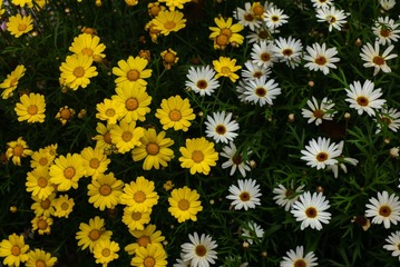 F13912F8-DA7A-428E-A921-2EF36B61144B/L0/001