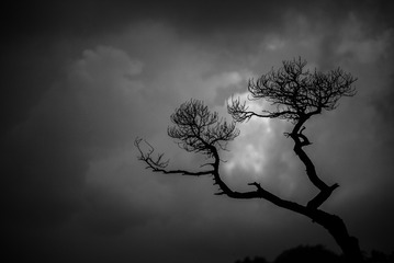 C78575C3-28A4-4387-B8AD-86DDD792C26C/L0/001