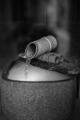 C196047A-D11A-4EC0-8D04-F235CD27D47B/L0/001