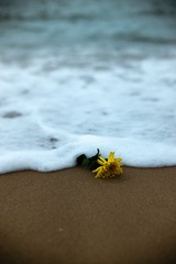 3C107089-406D-4712-8C53-59E37005A776/L0/001