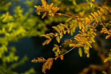 8F0F57DB-D5F0-4995-A2F7-DD8616338E06/L0/001