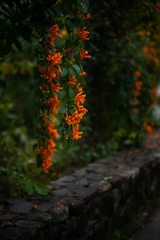 438364B0-583B-4FB0-AC54-0419EB90A4E5/L0/001