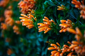 2EB066B6-C772-4E6D-ADE7-0E1AB7BDE277/L0/001