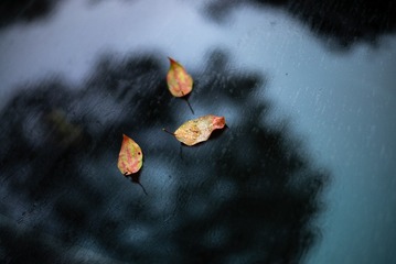 F03EA3E0-F153-49E7-8B2E-EA9487F75A6D/L0/001