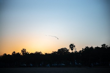 A3E02788-97D6-4653-8614-CEDAA9875365/L0/001