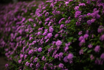 4E79EB86-EBD8-43FE-AAE2-CA5DA35A7F14/L0/001