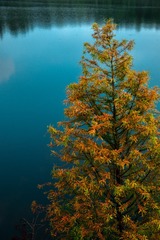 B9B5F2CB-C502-4B27-BD48-D1350841A154/L0/001