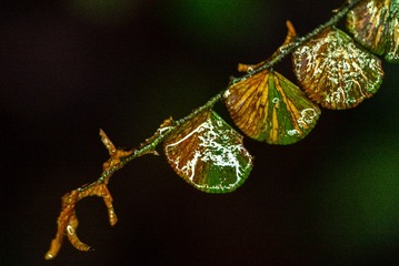 D5742455-2DB0-47A4-A4BD-51CF3A1F5E37/L0/001
