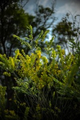 2C43795E-A62E-489B-BC06-FE695F44BE49/L0/001