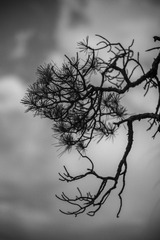 89277C91-1159-4B52-8E4E-045F2D3D79E6/L0/001