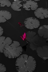 1E8379E4-C74F-4A65-8FBF-0BF670EF0000/L0/001