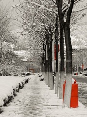 FSCN0473-2.jpg