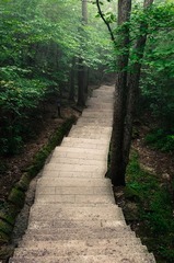 20120801_8715_46 mm.jpg