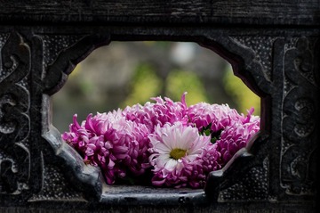 20121104_1015_135 mm.jpg